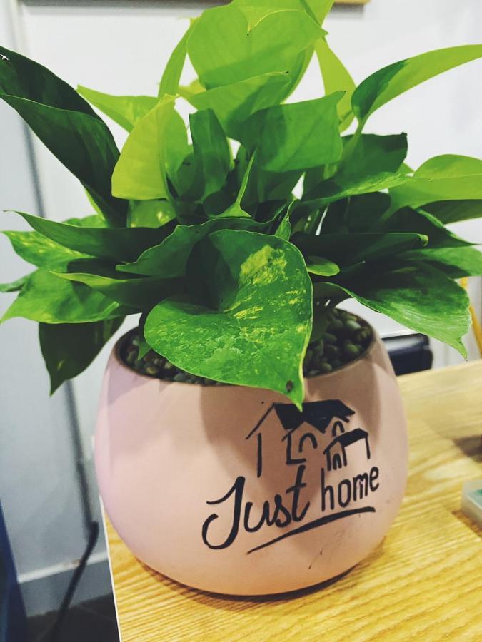 Just Home Đà Nẵng Ngoại thất bức ảnh